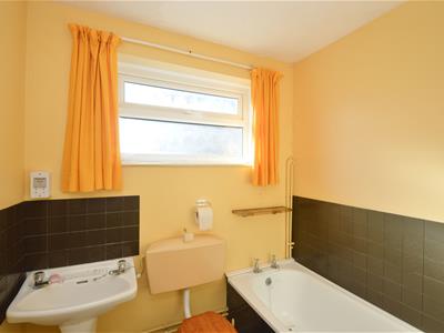 Picture 8
